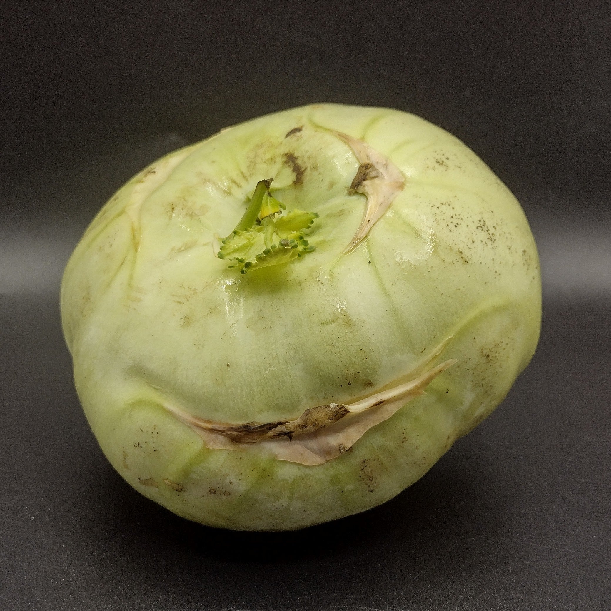Kohlrabi, Large (1 Head)