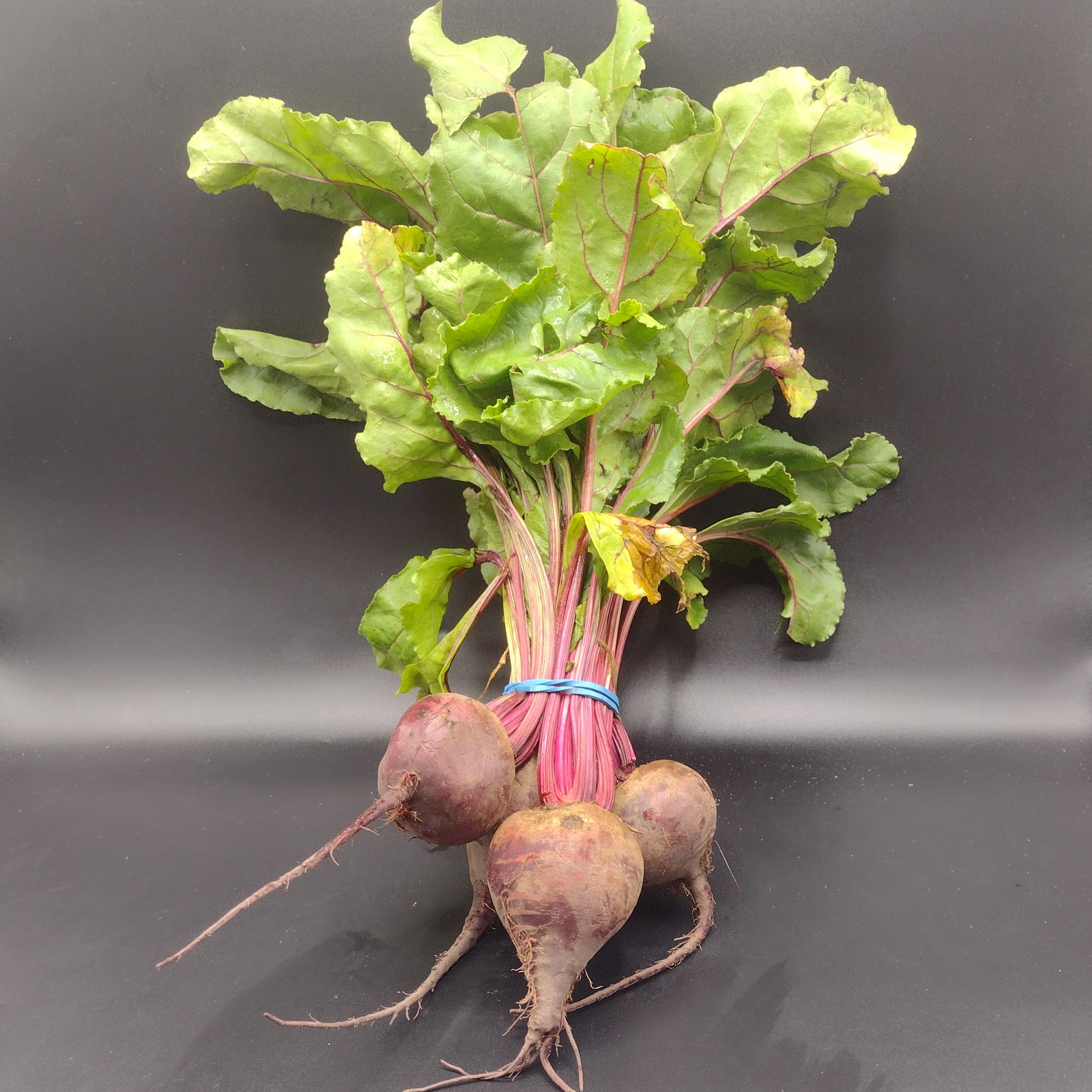 Beets, Red Organic (1 bunch)
