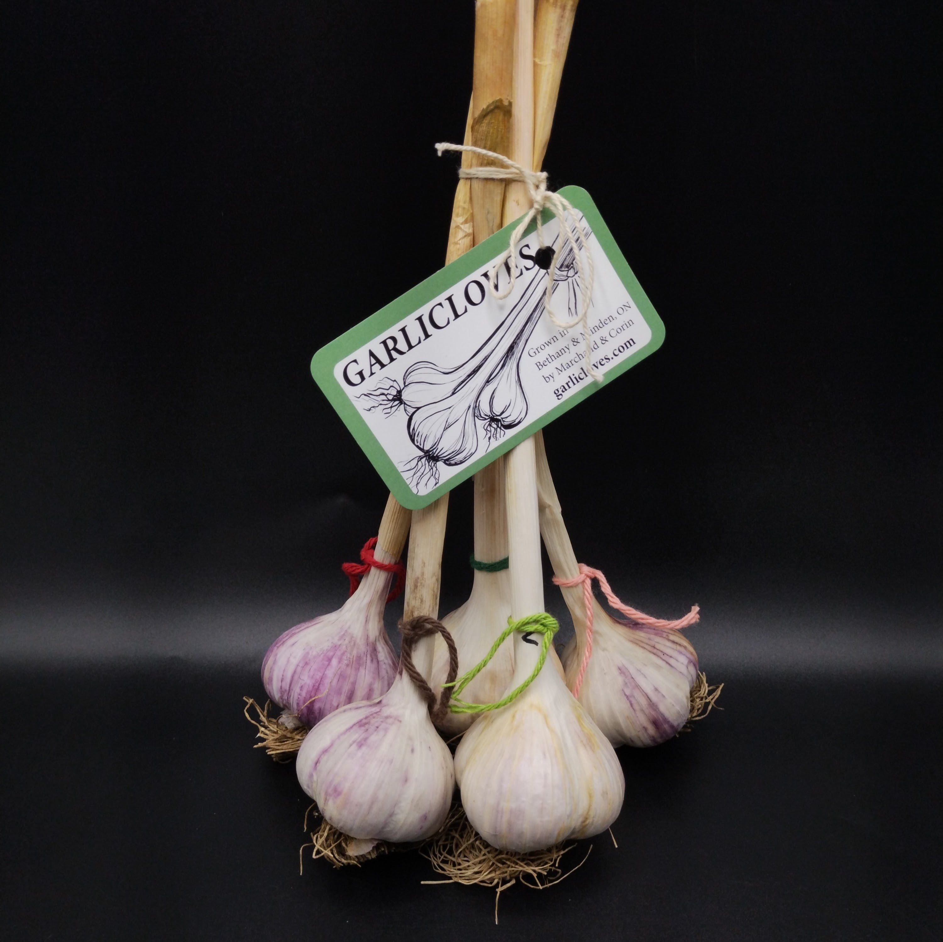 Garlic, Mixed Bundle-1