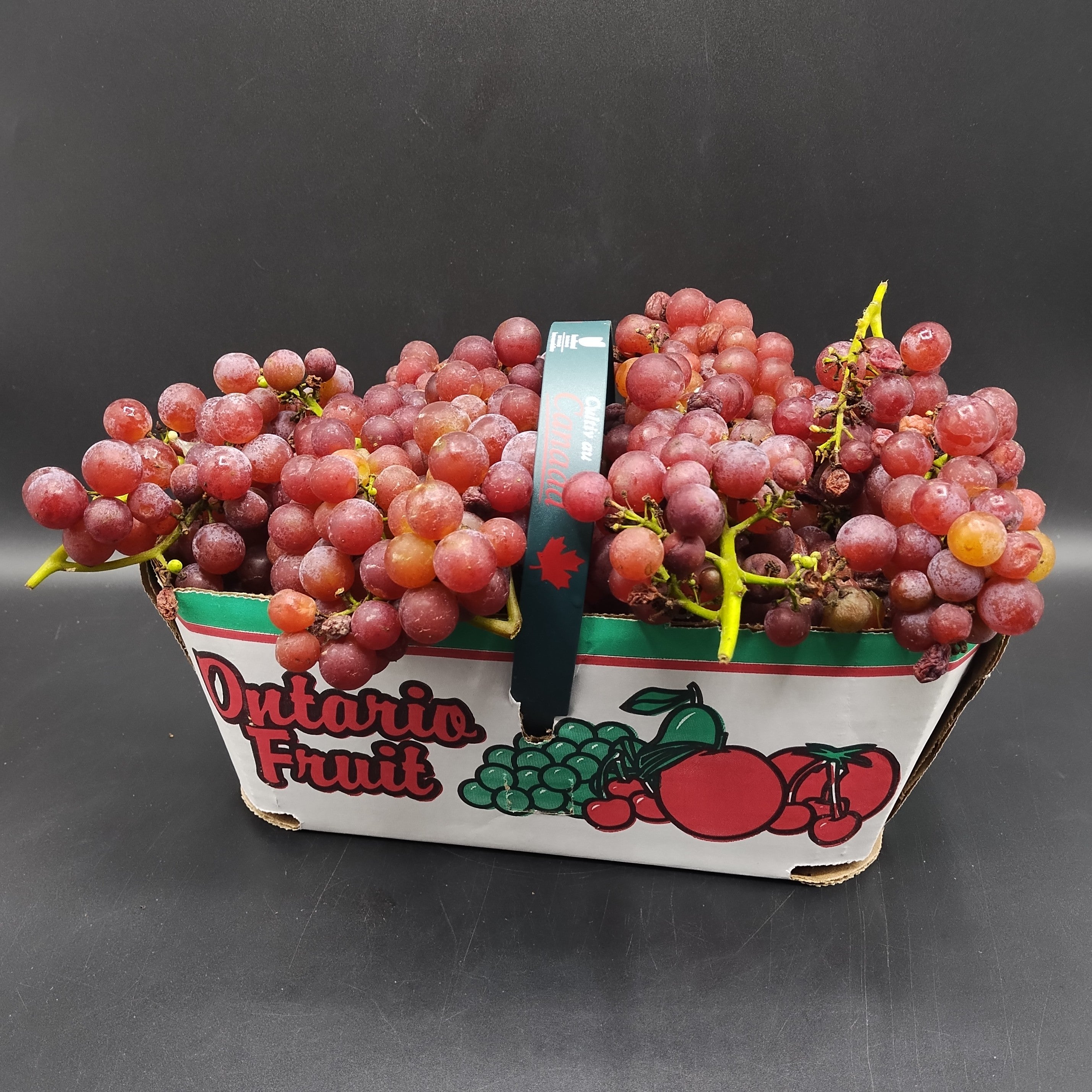 Grapes, Canadice (3L) THIS WEEK ONLY-2