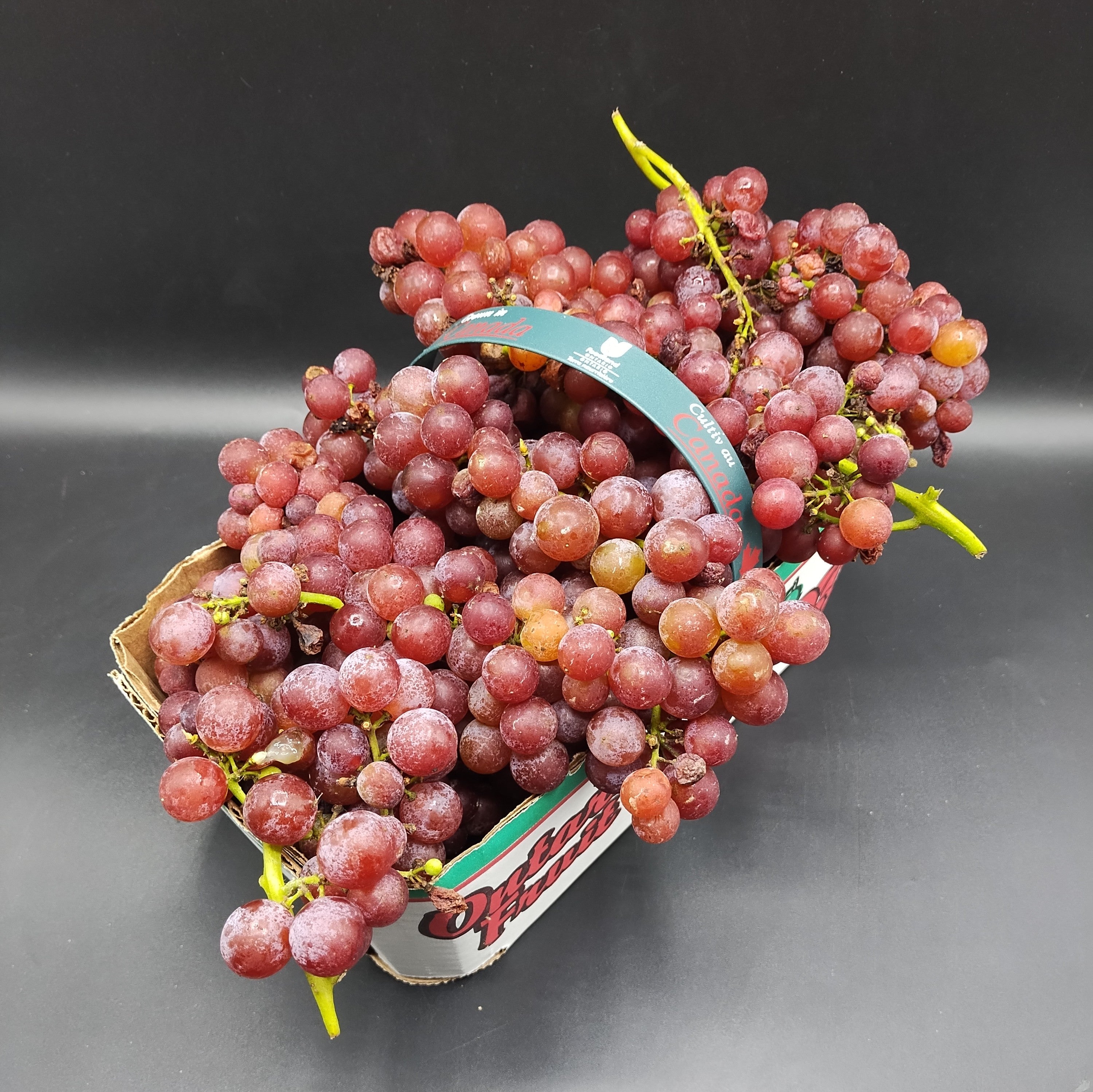 Grapes, Canadice (3L) THIS WEEK ONLY-1