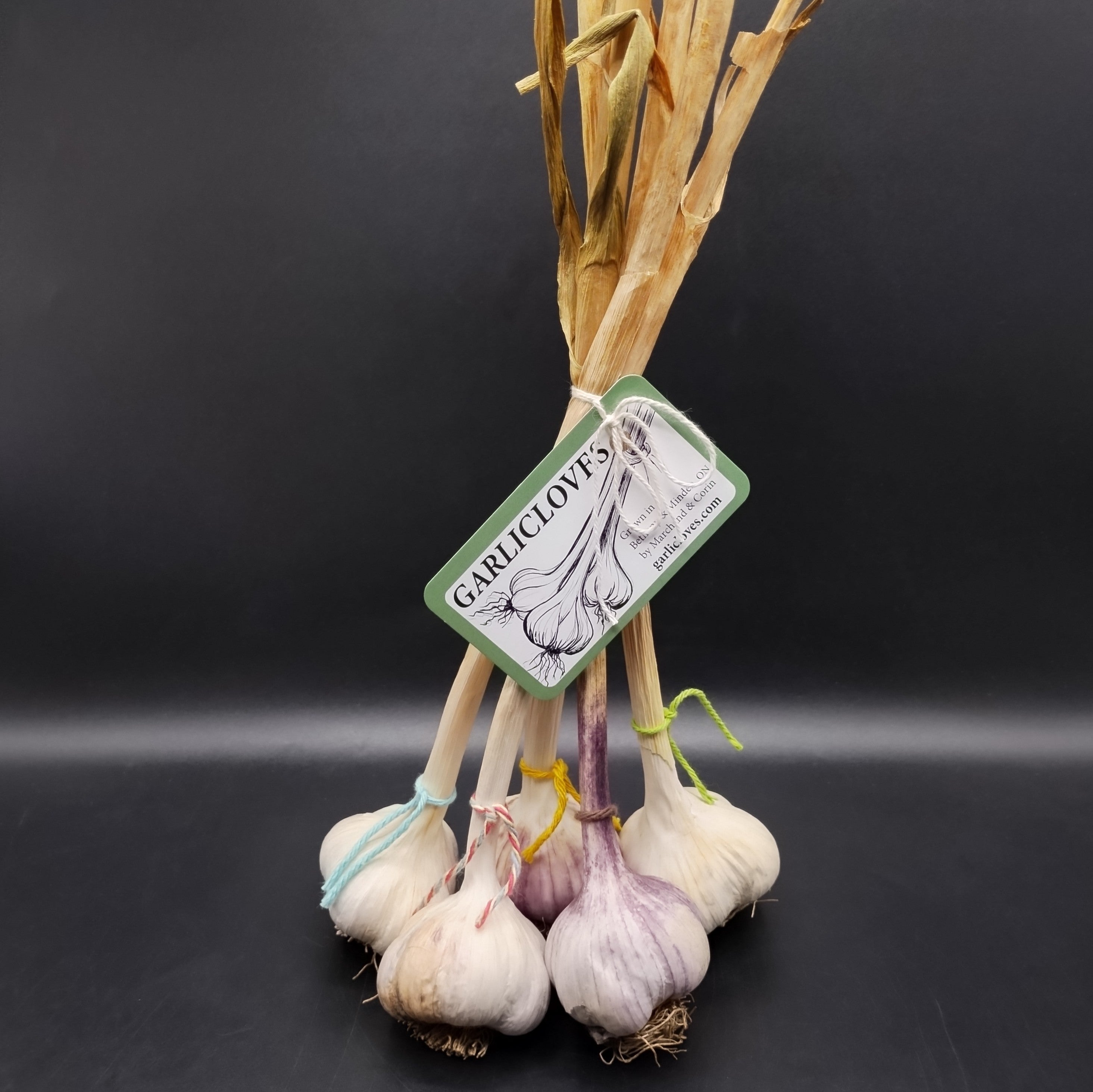 Garlic, Mixed Bundle-2