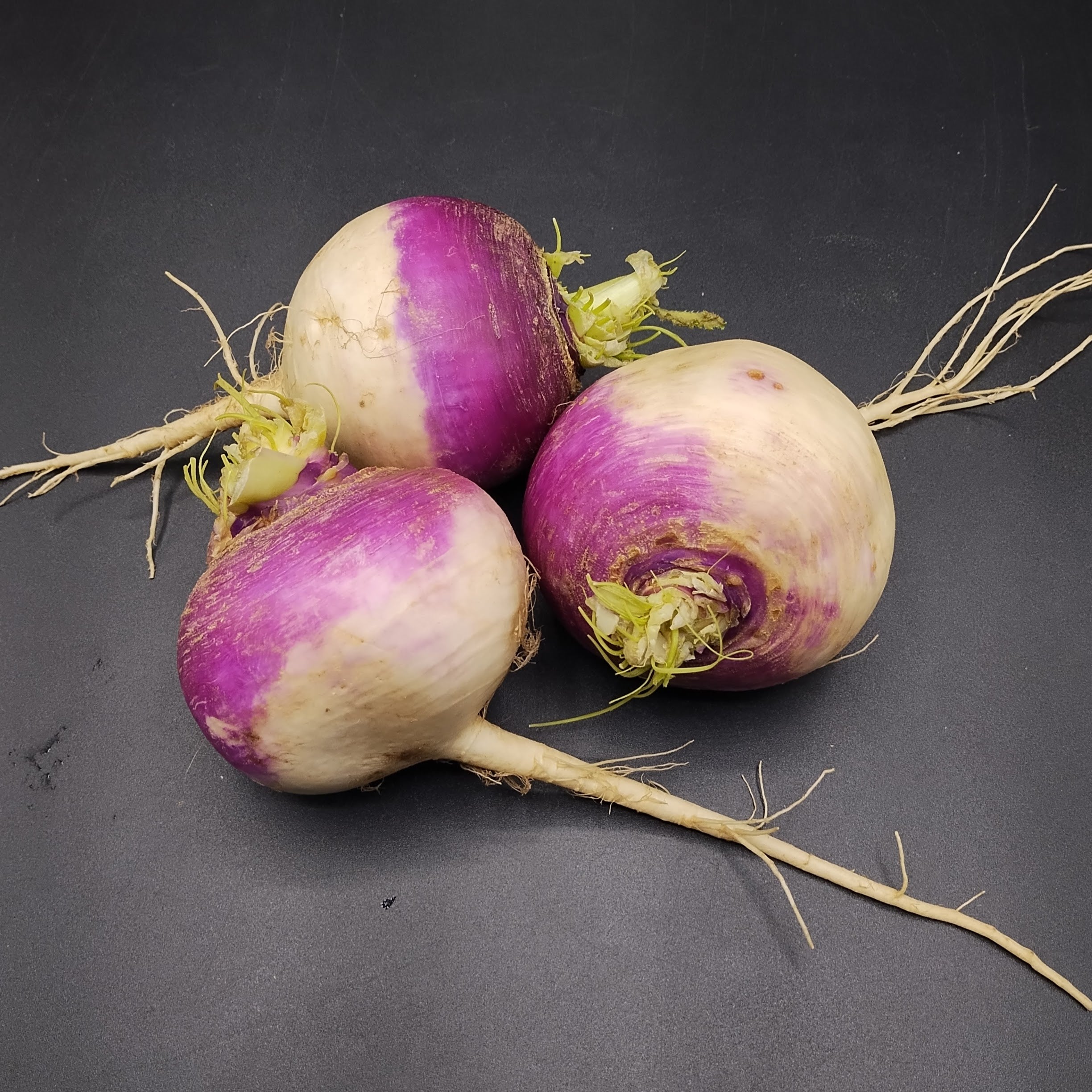 Turnip, Purple Top Organic