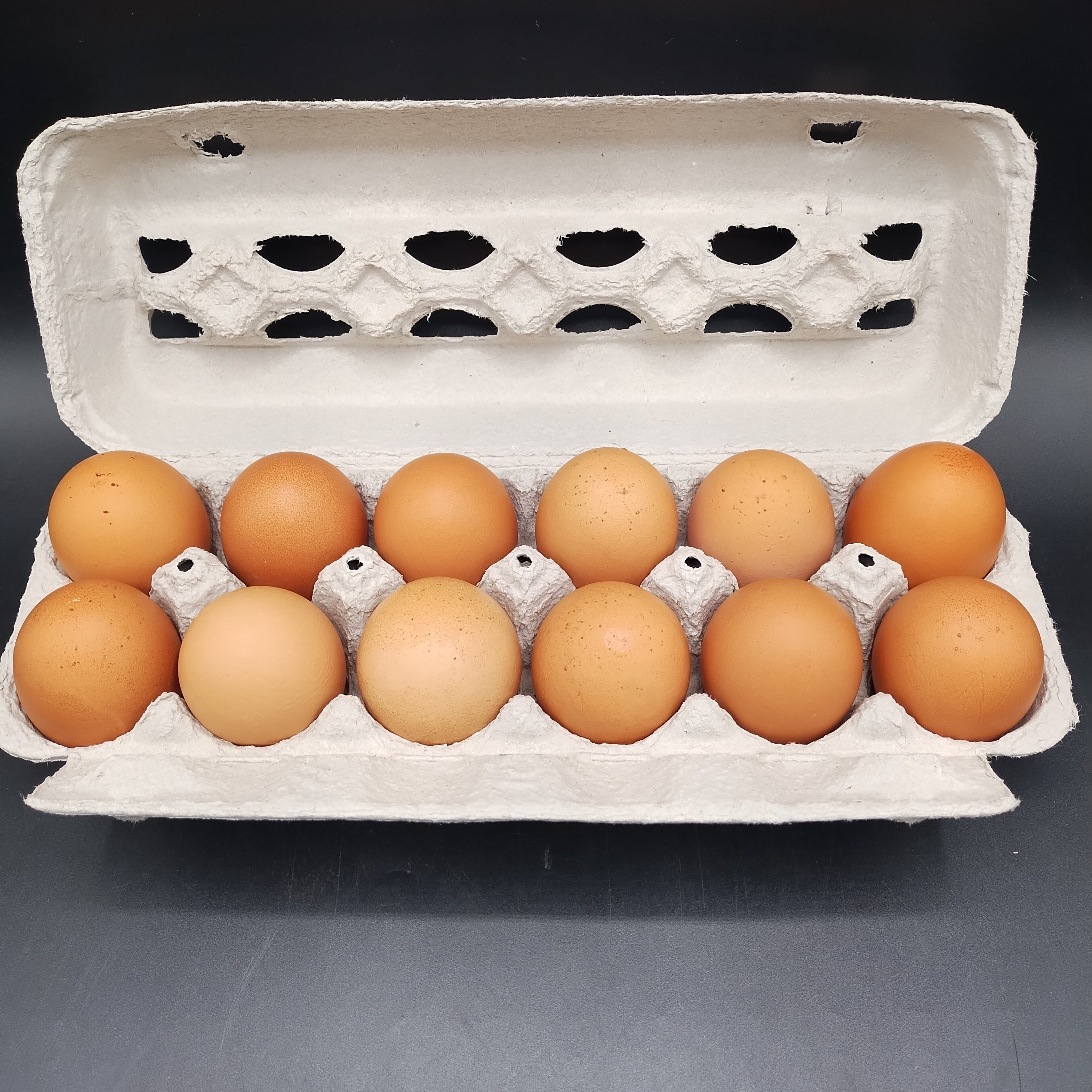 Eggs, Chicken Free Run Extra Large (4 x 1 doz) BULK