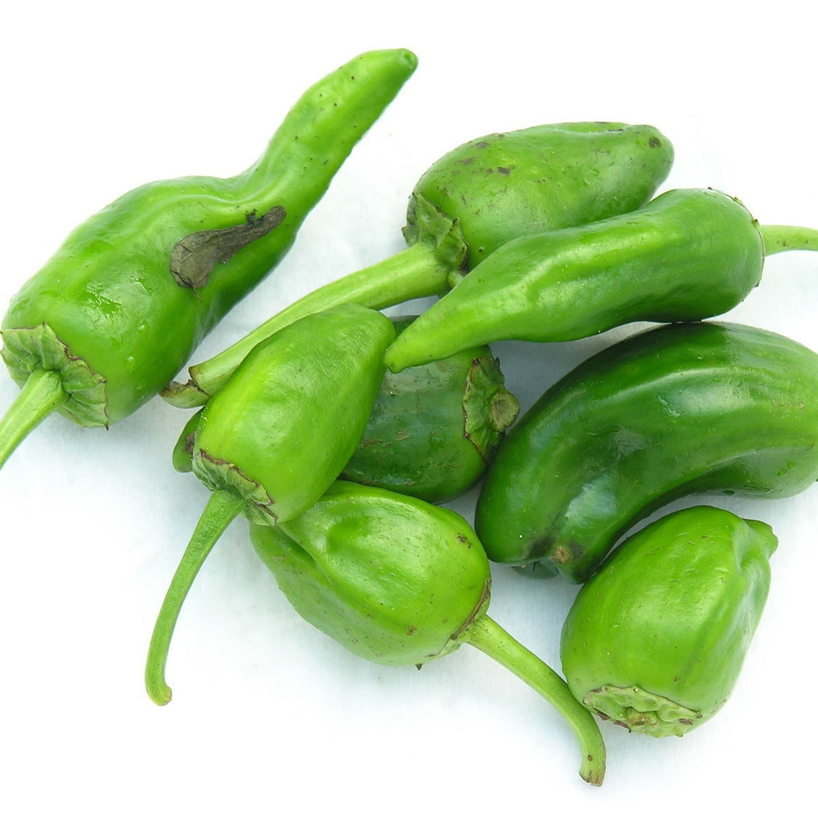 Peppers, Padrón (250g)