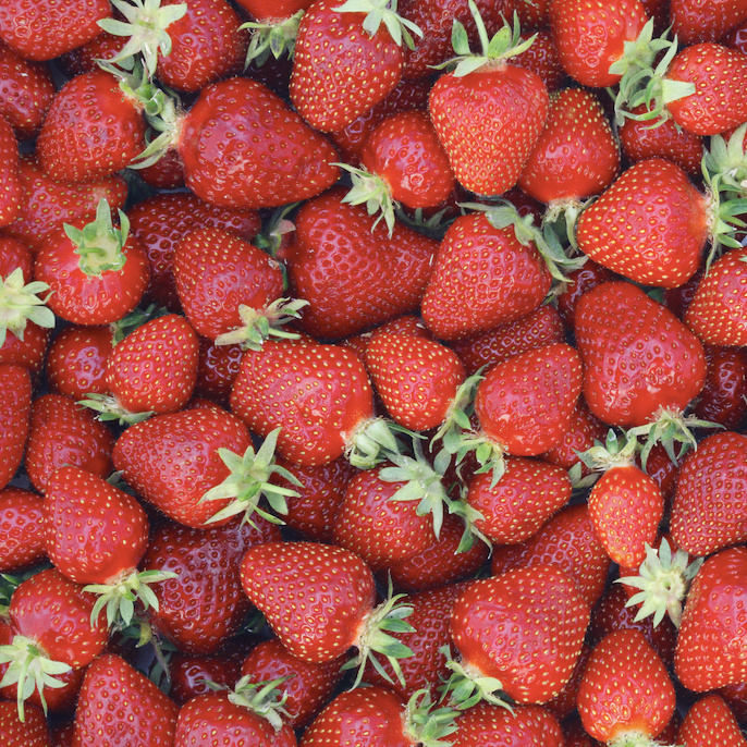 Strawberries, Frozen (1kg / 2.2lb)