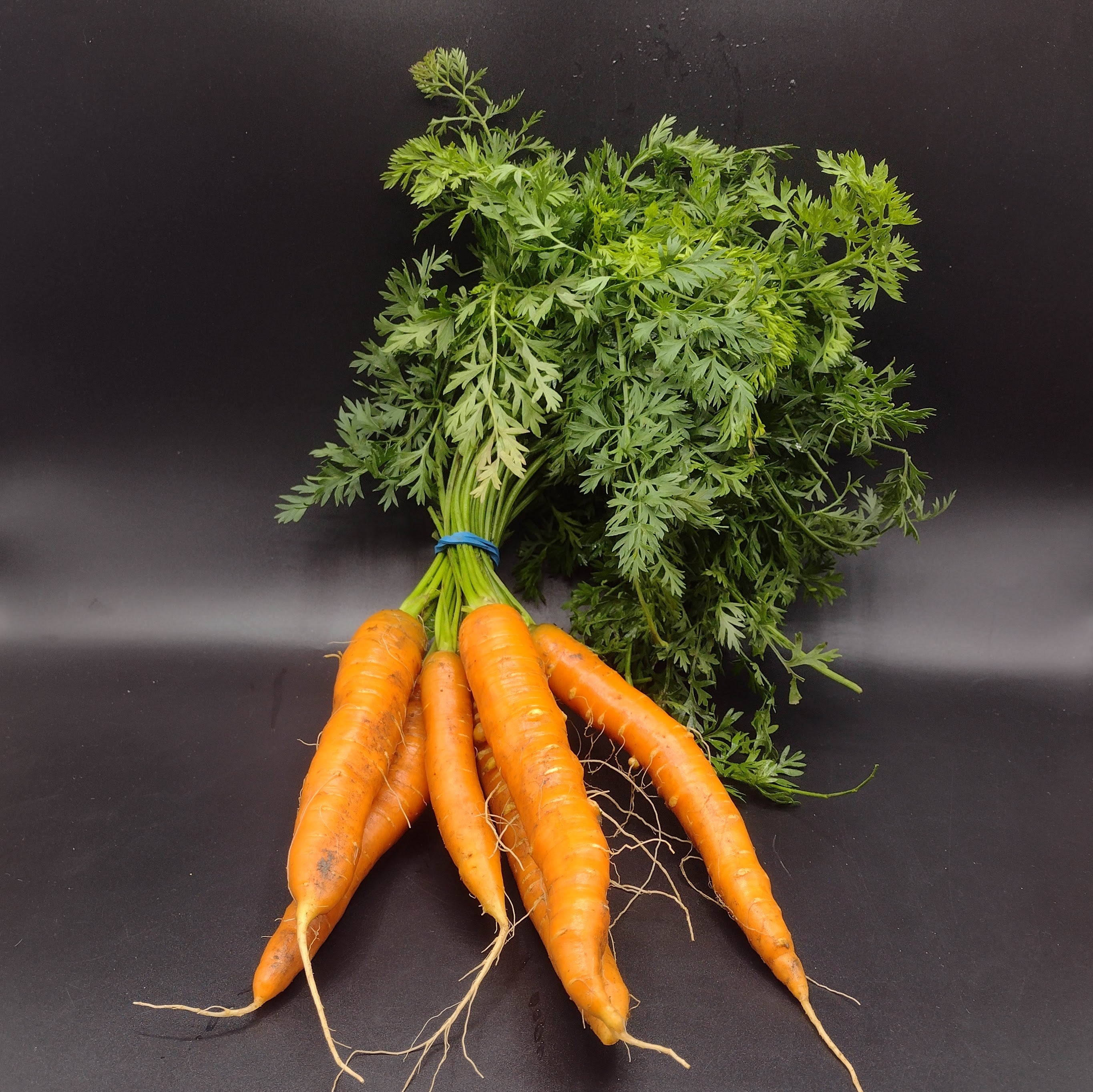 Carrots, Orange (bunch, organic)