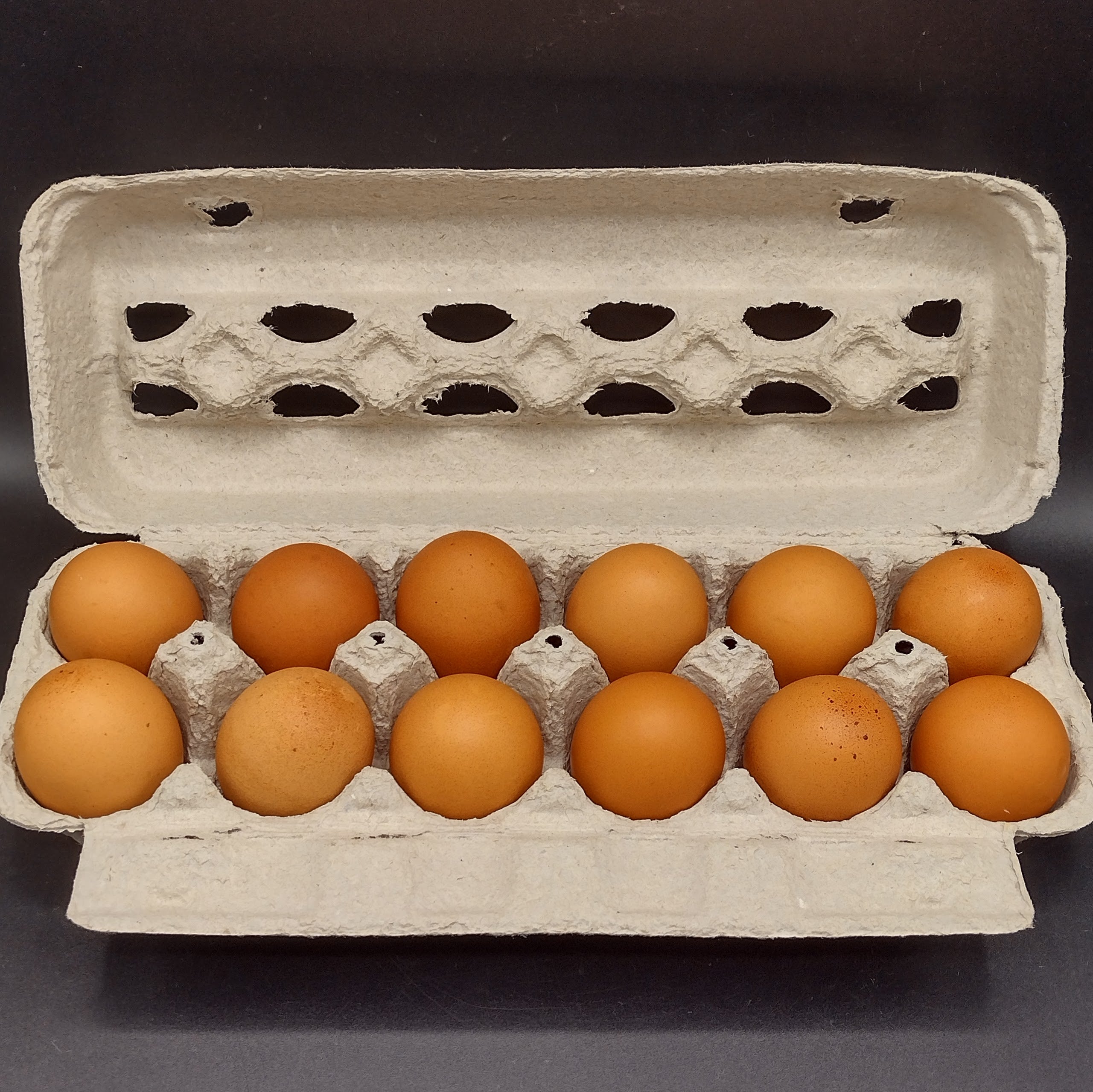 Eggs, Chicken Free Run (4 x 1 doz) BULK