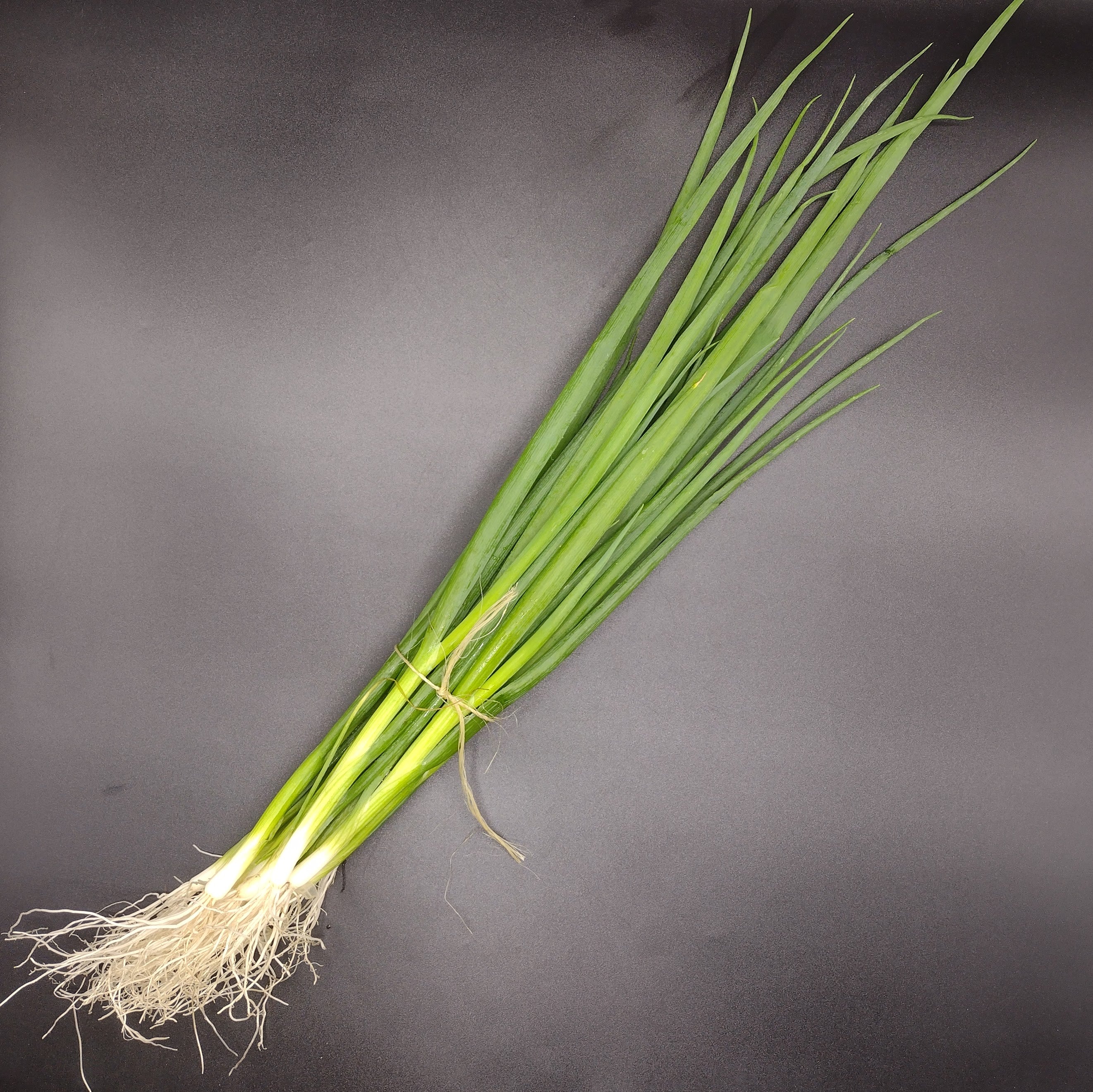 Onions, Green (1 bunch)