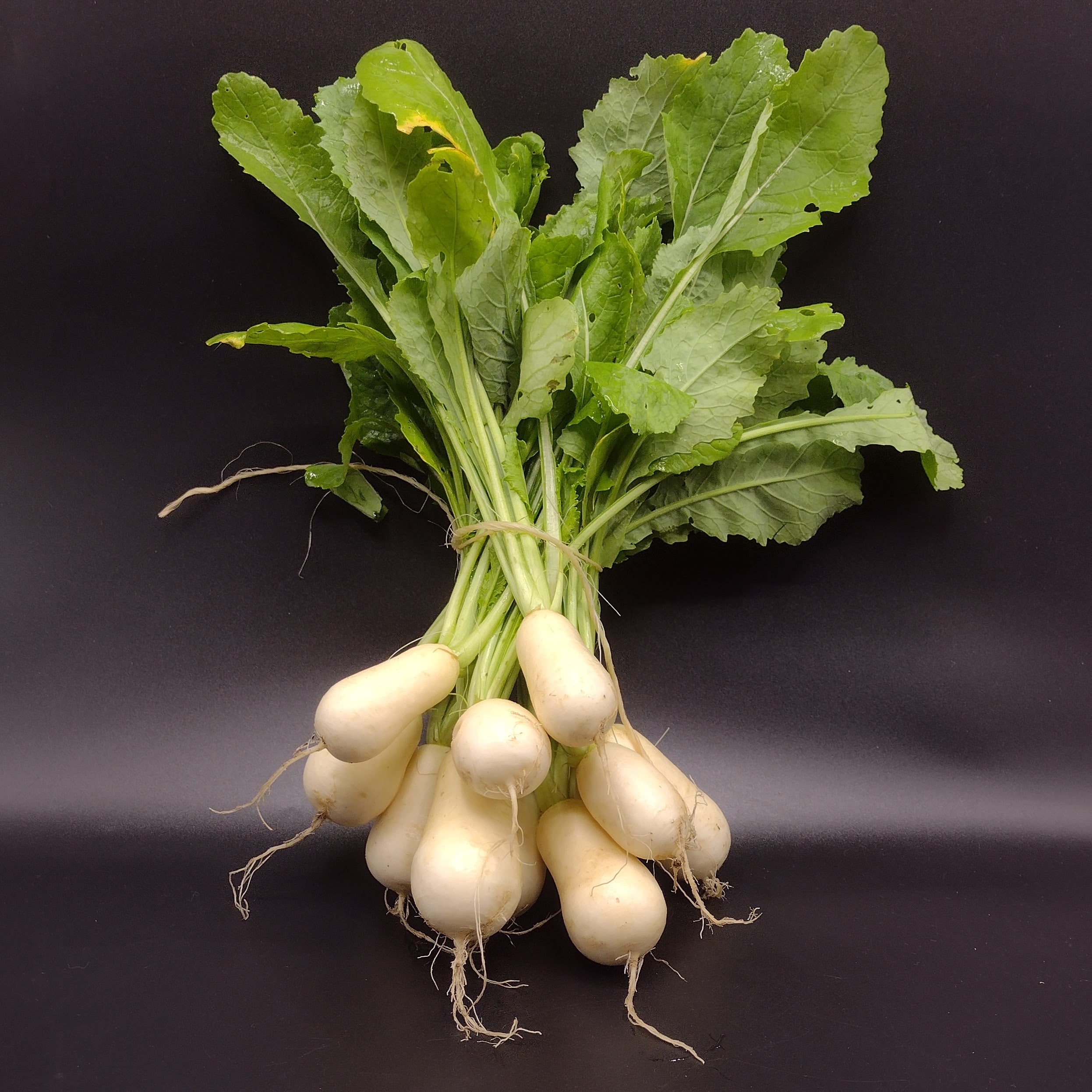 Turnips, Hakurei (1 bunch)