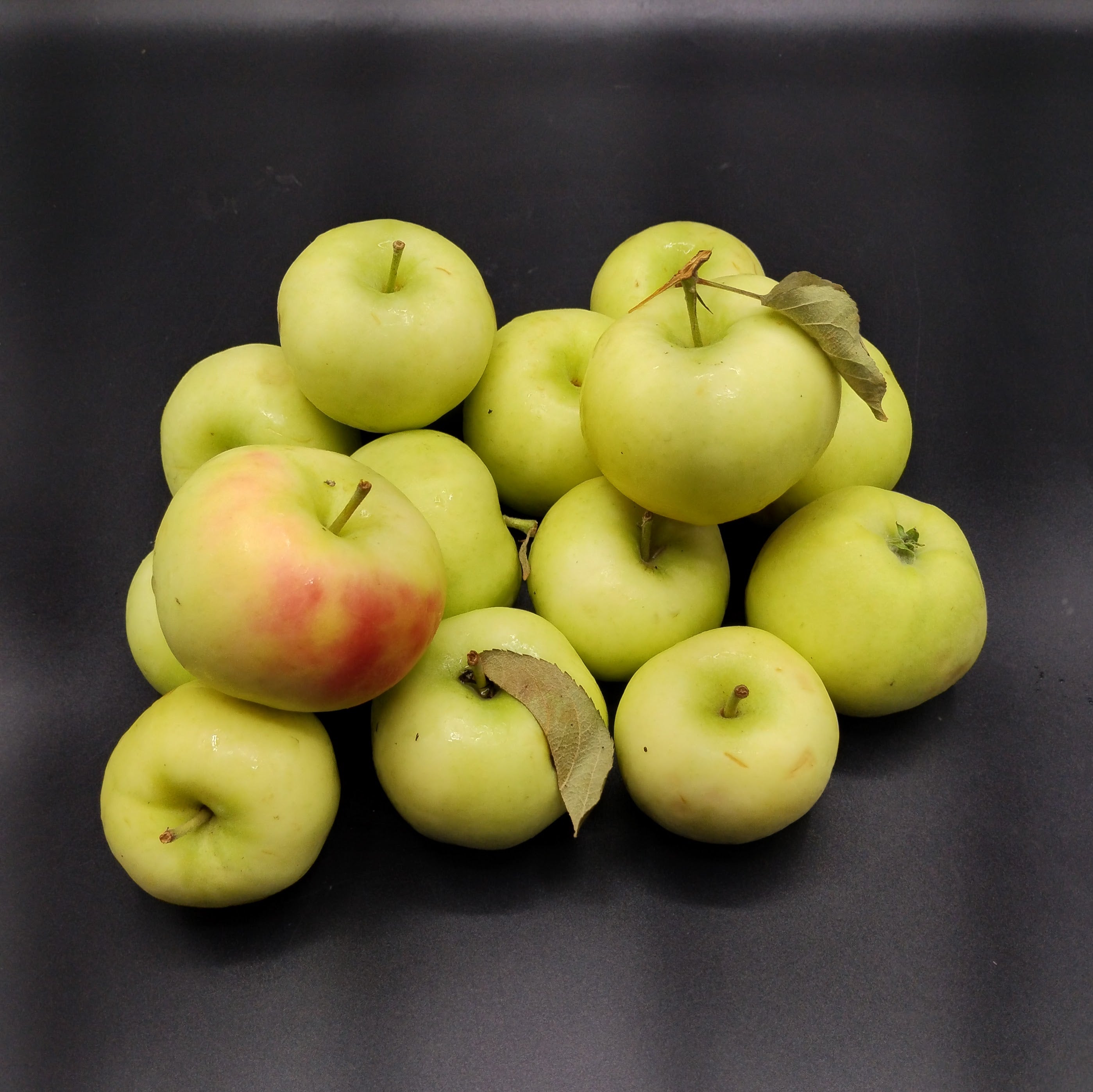 Apples, Pristine ENJOY SOON-2