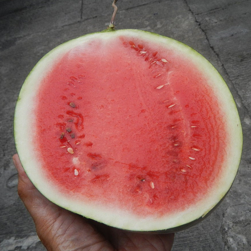 watermelon