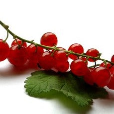 red currents