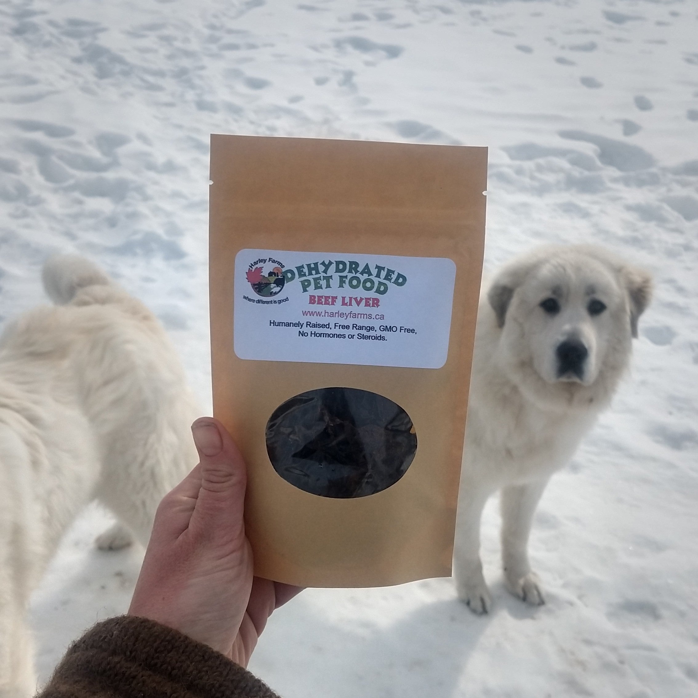 Package of dehydrated beef liver with white dog in the background
