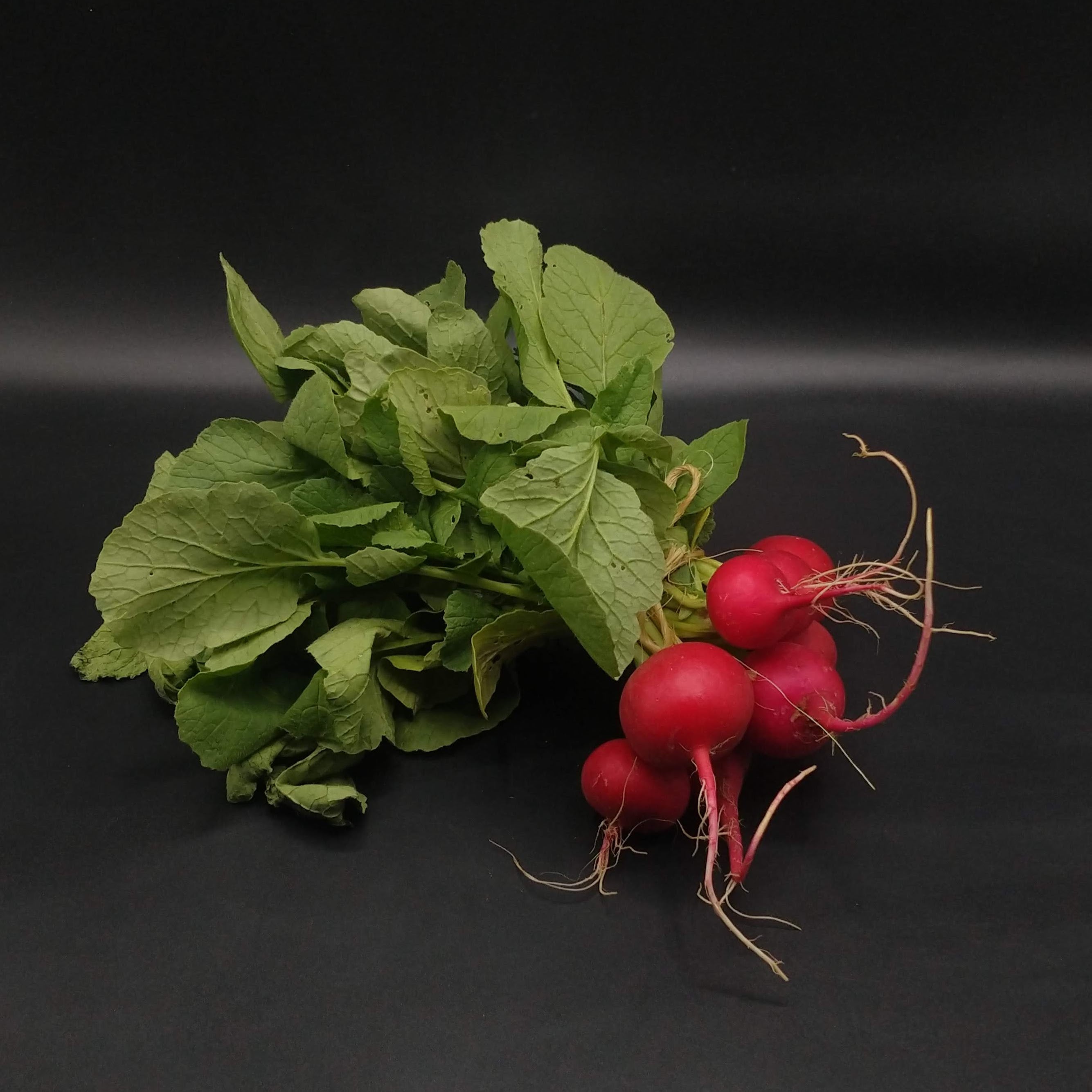 one bunch of red radishes