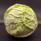 head of savoy cabbage