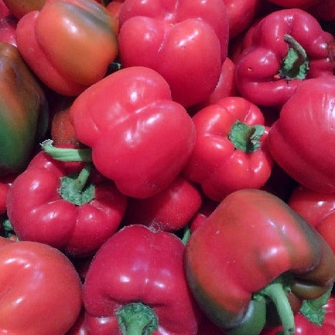 Pepper, Red Bell Organic (Each)