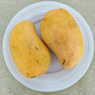 two ataulfo mangos on a plate