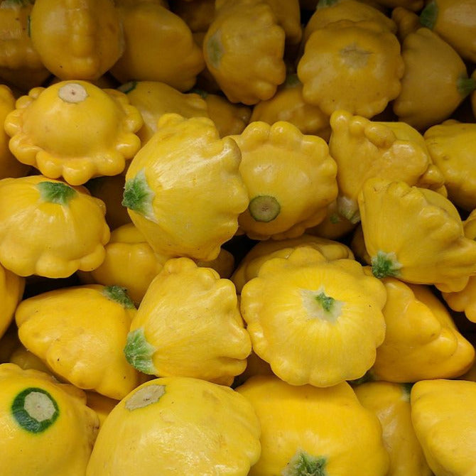 pattypan summer squash
