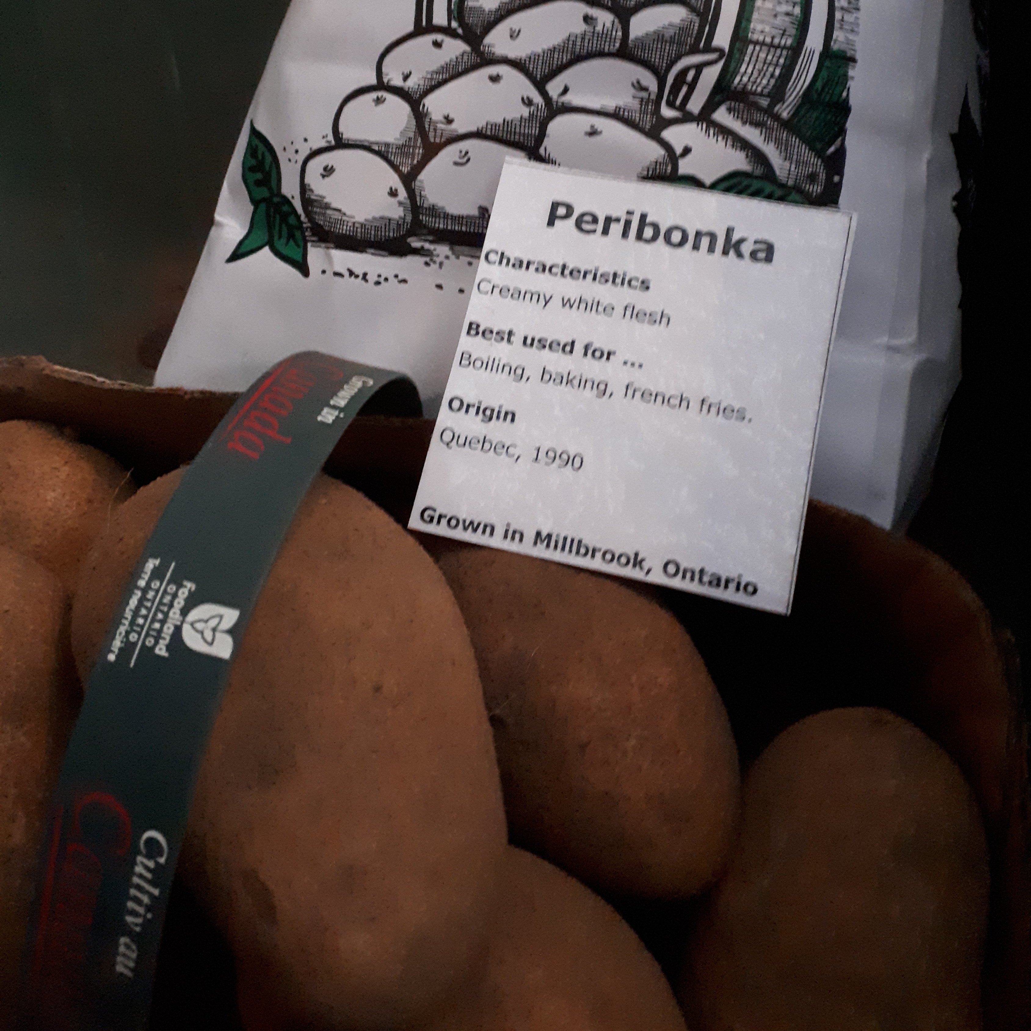 Carton of Peribonka potatoes