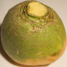 large rutabaga