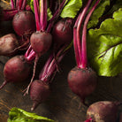 Red Beets