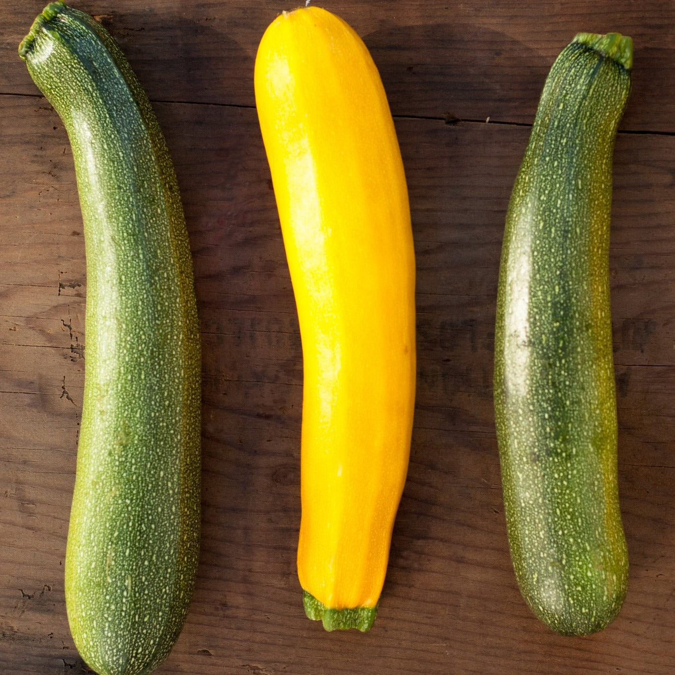 Zucchini