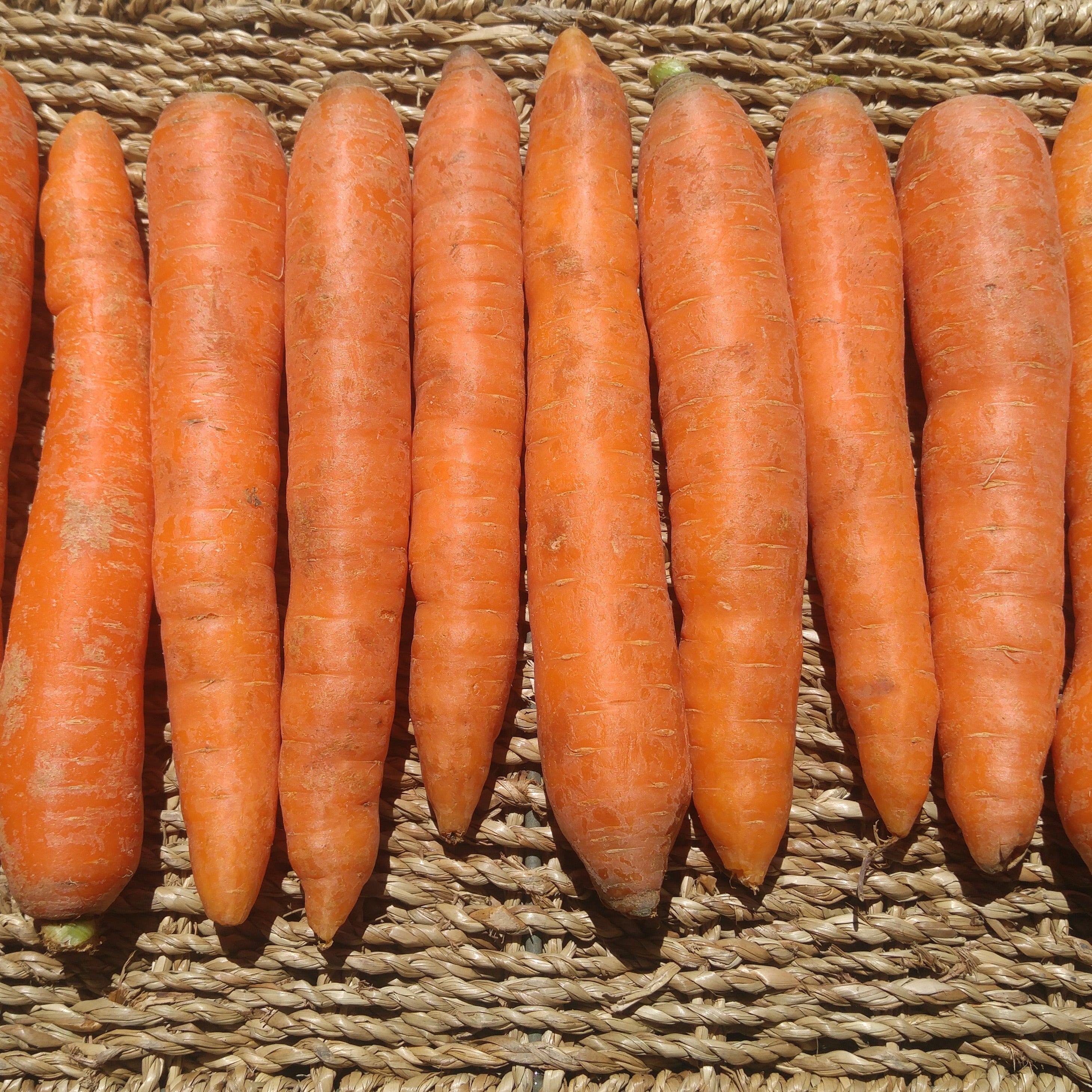 orange carrots on a woven mat