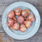 Bowl of shallots