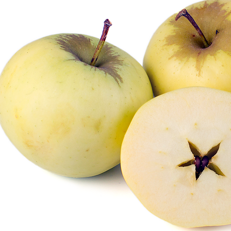 Apples, Pristine ENJOY SOON-3