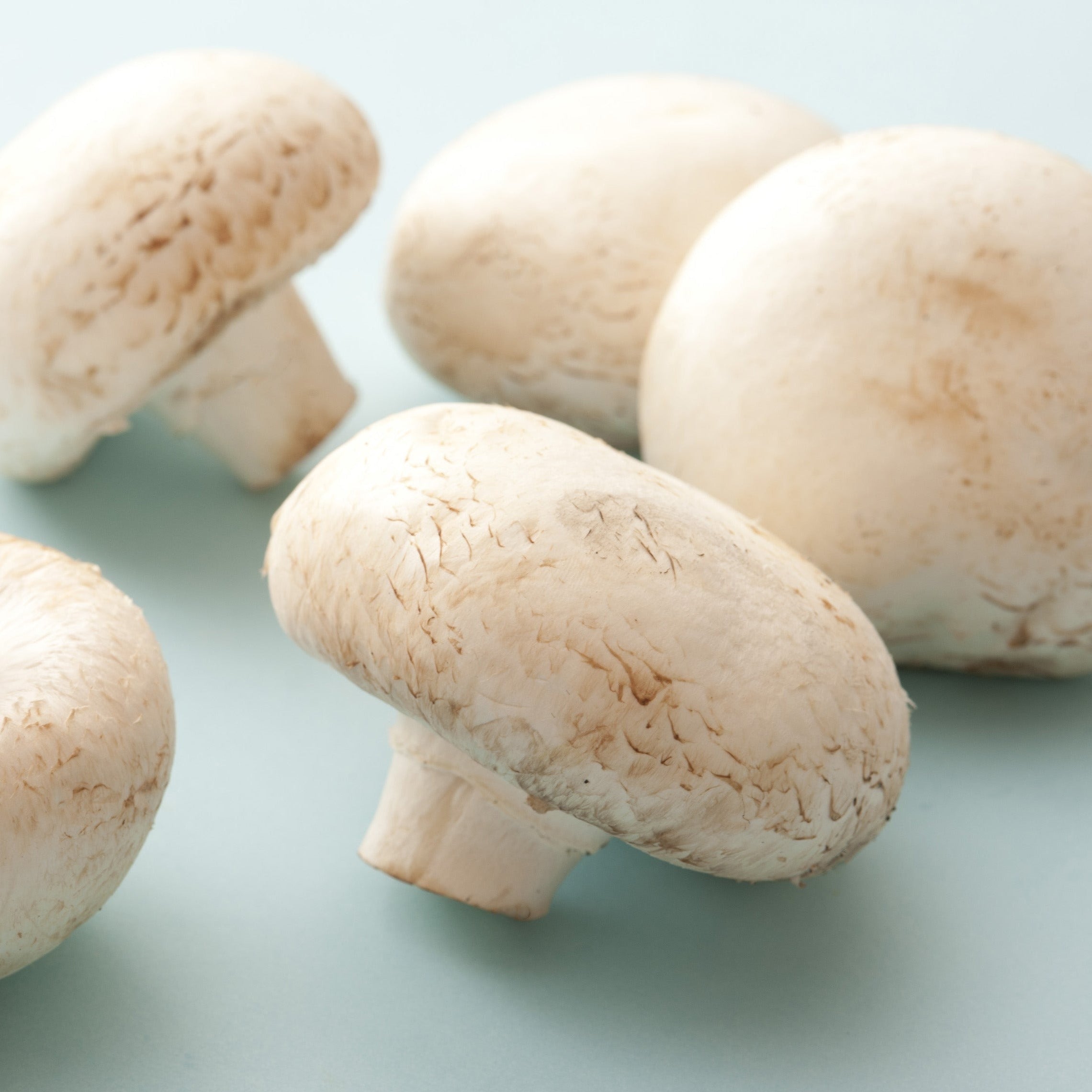 Mushroom, Organic White Button (approx 227g)