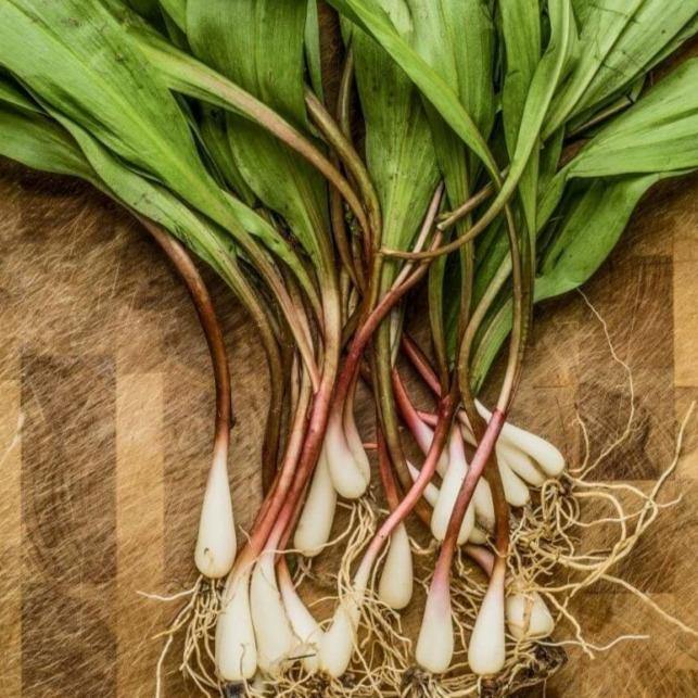 Wild Ramps (approx 227g)