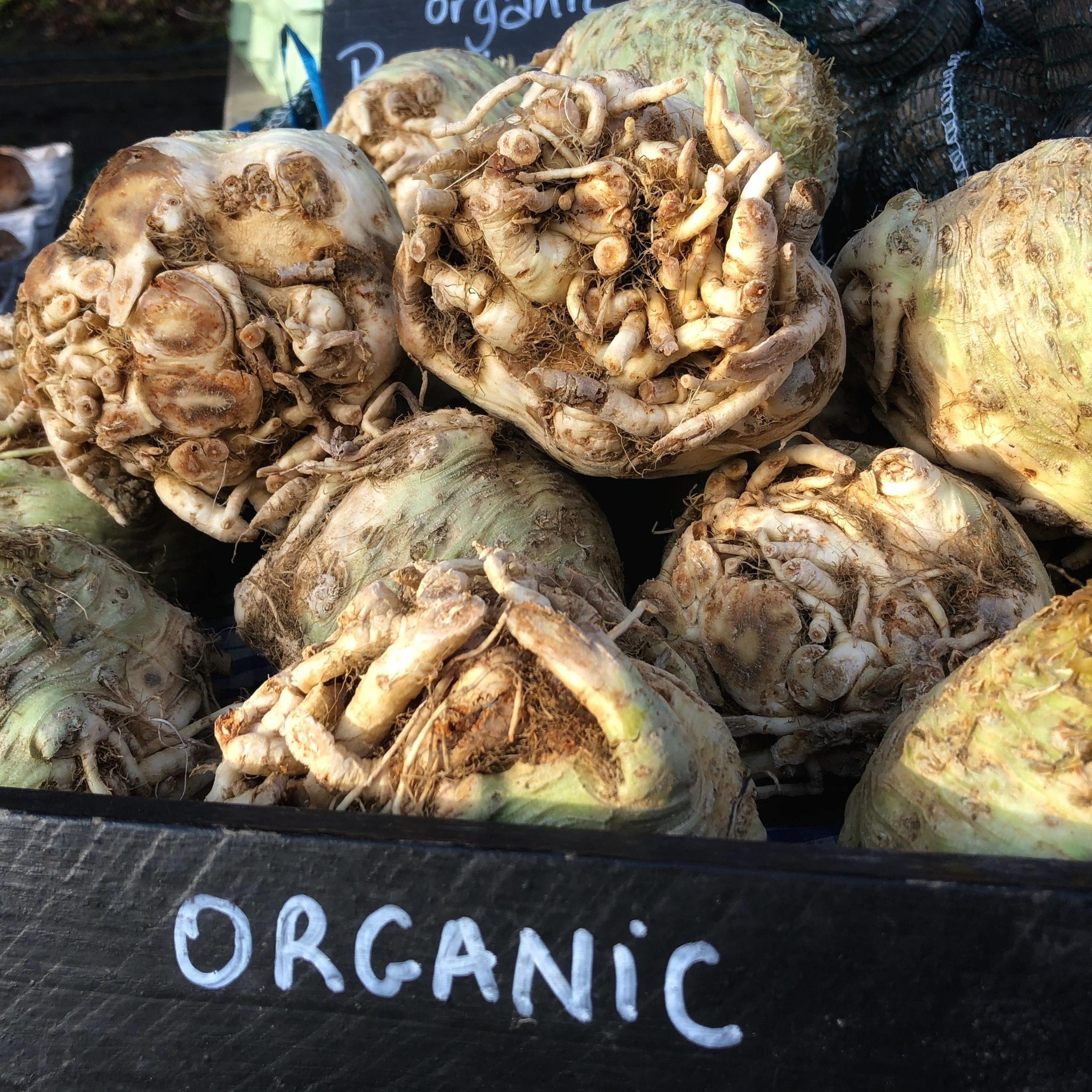 Celeriac